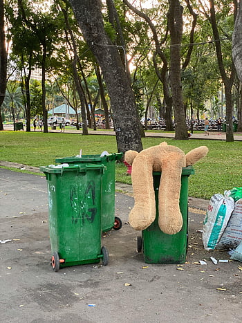 Špinavé odpadky, zelený park, Medvídek, odpadkový koš, městský park, odpad, vyřazené vzpomínky, Koše zelené odpadky, parková scenérie, městský odpad, povědomí o životním prostředí