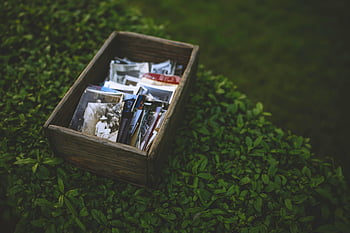 staré fotografie, dřevěná krabice, svěží zelená tráva, nostalgie, rustikální, ročník fotografie, venkovní, Příroda, Paměť, antický, kolekce fotografií