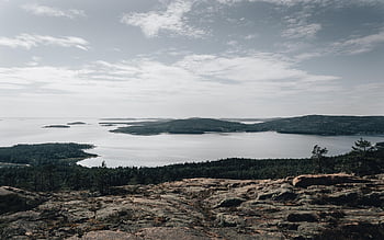 ocean, sea, trees, nature, mountain, forest, national Park, high Coast