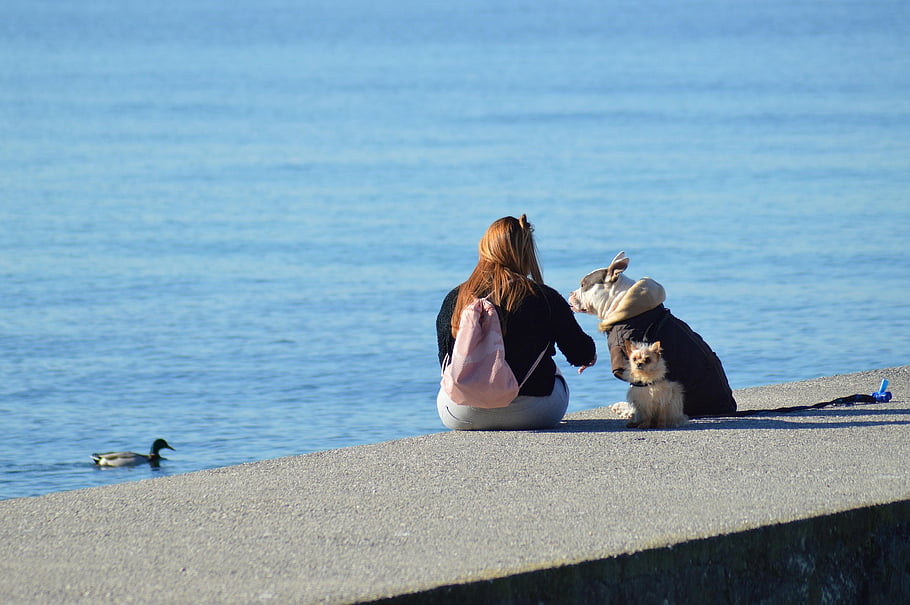 dogs, woman, coast, pets, animals, leisure, vacation, happiness, person, girl, young