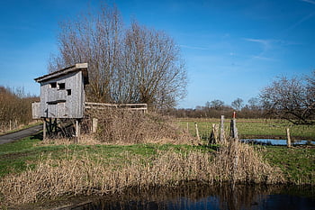 refuge, bird Watching, observation Hut, bird Protection, environmental Education, north Rhine Westphalia, nature Observation, germany, drainage Fields