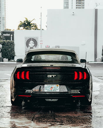 black Mustang, rear view, parked, Miami, modern design, Ford Mustang, black car, city street, urban setting, Florida license plate, wet pavement