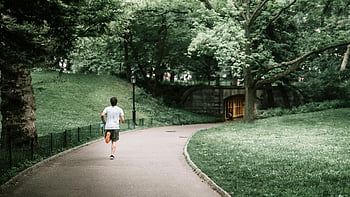 조깅하는 남자, 포장 통로, 나무가 늘어선 경로, 중앙 공원, 뉴욕시, 여름날, 야외 운동, 건강한 생활, 도시 공원, 푸른 잎, 휴양