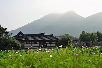 korea, tradition, seoul, traditional, culture, nature, spring, travel, hanok, korean, tile House