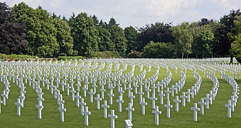 Friedhof, grüne Bäume, Soldatenfriedhof, weiße Kreuze, üppiges Grün, heiter, draussen, Natur, Denkmal, friedlich, Landschaft