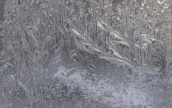 frost patterns, winter window, intricate designs, frost art, winter frost, frosty window, unique designs, frost formations, winter art, frosty patterns, winter designs