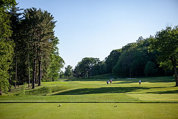 golf, chod, Pozadí, zelená, tráva, sport, hráčů, rekreace, lidé, trávník, stromy