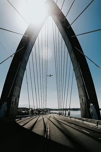airplane, bridge, Rio de Janeiro, suspension bridge, clear blue sky, dramatic view, flying over, cityscape, travel, architecture, transportation
