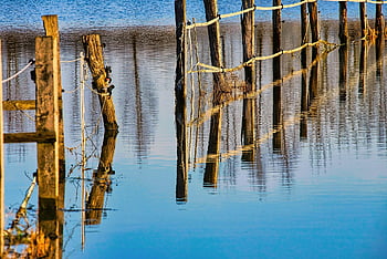 fence, nature, flooding, water, flood, climate Change, flood Disaster, flooded, meadow, coupling, landscape