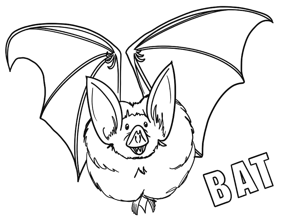 Bat, Halloween, Mammal, Animal, Nature, Fly, Wings, Wildlife, Doodle, Drawing, Cartoon