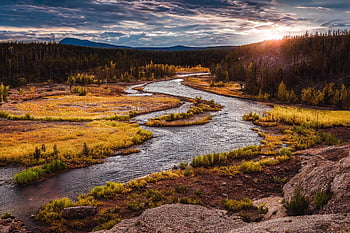 river, forest, sunset, autumn, landscape, nature, ai Generated
