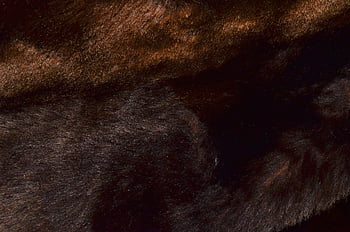 zvířecí kožešiny, kožešinové tkaniny, Bohatá hnědá srst, Zvířecí kůže, detailní textura, pozadí návrhu, návrhové projekty, textura kožešin, hnědá kožešina, kožešinový materiál