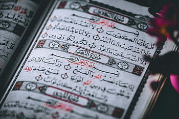 Koran, Nahansicht, arabische Schrift, religiöser Text, Kalligraphie, Koran Seiten, Detaillierte Aufnahme, Islamischer Text, heiliges Buch, Koranische Verse, Arabische Kalligraphie