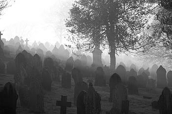 cemetery, nature, tombstones, fog, graveyard, headstones, graves, gravestone, churchyard, trees, cross