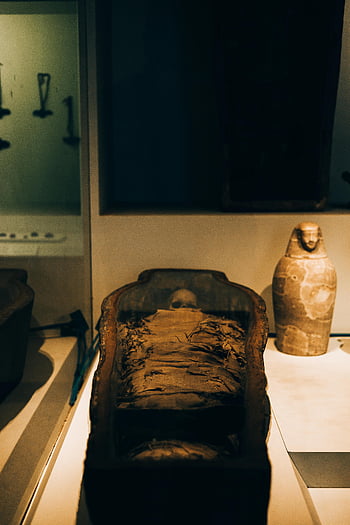 Egyptian mummy, canup, museum exhibition, ancient Egypt, close-up, displayed, historical artifact, sarcophagus, ancient civilization, cultural heritage, museum display