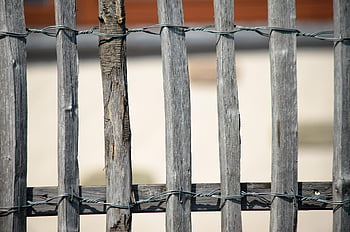 plot, dřevěný plot, dřevěné lamely, lamely, starý, zahradní plot, Příroda, Dřevěné desky, dřevo, zahrada, struktura