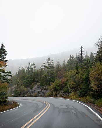 rural, route, paysage, destination, Voyage, conduite, chaussée, asphalte, terrain, la nature, en plein air