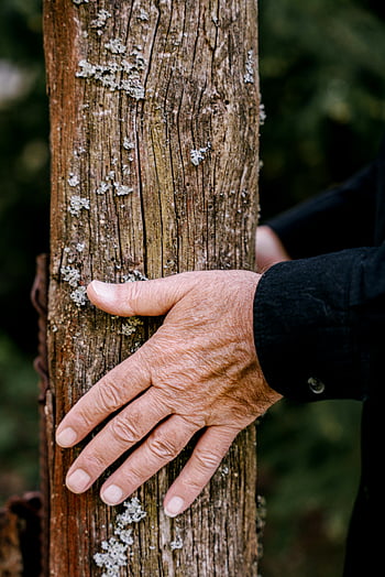 mužská ruka, kmen stromu, porostlý lišejníkem, spojení s přírodou, detailní záběr, texturou kůry, jemný dotek, přírodní prvky, venkovní scénu, propojení s životním prostředím, interakce člověka a přírody