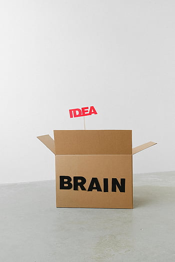 cardboard box, Brain inscription, Idea inscription, minimalist indoor setting, conceptual image, creative concept, brainstorming, innovation, thinking outside the box, idea generation, creativity