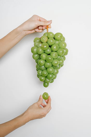 čerstvé zelené hrozny, ženské ruce, zdravé ovoce, bio ovoce, dar přírody, hroznový cluster, přírodních produktů, Zdravé stravování, zelené hrozny, ovocné fotografie, zdravý životní styl