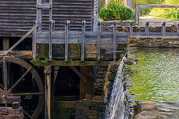 fearless Goose, courageous Goose, mill, grist Mill, yates Mill, landscape, old, building, watermill, scenic, architecture