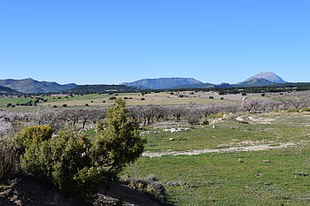 пейзаж, Мурсия, cañada de la cruz, Испания, природа, планина, Средиземно море, поле, селски