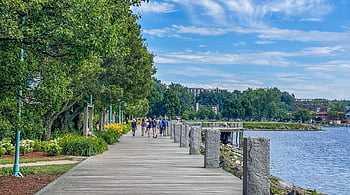 pista ciclabile, champlain del lago, Vermont, natura, acqua, panoramico, all'aperto, nuvole, viaggio