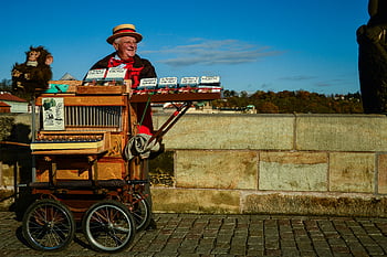 uomo anziano, organetto, marionetta scimmia, praga, Repubblica Ceca, artista di strada, carrello, spettacolo all'aperto, musica tradizionale, scena di strada, strada di ciottoli
