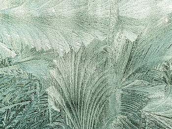 ice Flowers, ice Crystals, winter Magic, frost, crystallization, fantasy, landscape, macro, spring-like, silk Gloss, wintry