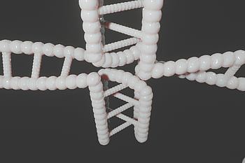 human, dna, genetic, cytosine, c-rich Regions, i-motif, i-tetraplex, i-dna, dns, i-motif Dna, quadruplex