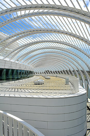 architektura, moderní, struktura, budova, design, perspektivní, univerzita, Příroda, politecnico, calatrava, futuristický