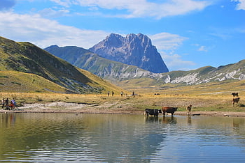 hory, jezero, lidé, zvířat, abruzzo, gran sasso, Císařské pole, volů, trekking, Příroda, životní prostředí