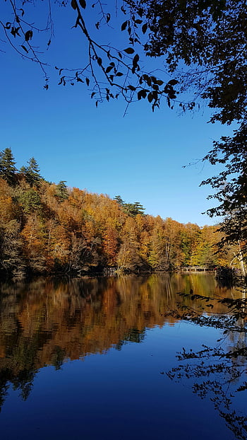 Yedigöller National Park, scena autunnale, lago calmo, fogliame vibrante, Parco Nazionale dei Sette Laghi, tacchino, scatto panoramico, riflessione, cielo blu, foresta, natura