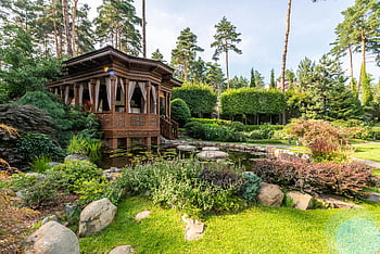 gazebo, lake, rocks, plants, wooden gazebo, vibrant garden, lush pond, diverse plants, summer garden, peaceful scene, outdoor setting