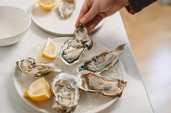 oysters, lemon, seafood, fresh oysters, oysters on ice, lemon slices, close-up, seafood lovers, plate, ice, food photography