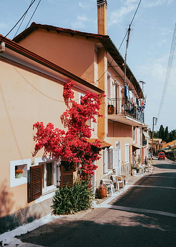 kerkyra, Řecko, středomořské architektury, Vibrující Bougainvillea, malebné ulici, ulice, budov, pouliční scény, Evropské město, venkovní bydlení, okenice