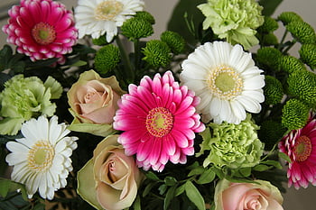 flowers, flora, bouquet, cut Flowers, gerberas, roses, carnations