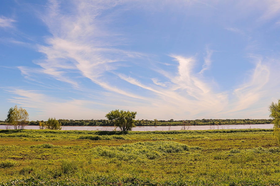 paraguay, lake, lakeshore, field, landscape, nature, pasture