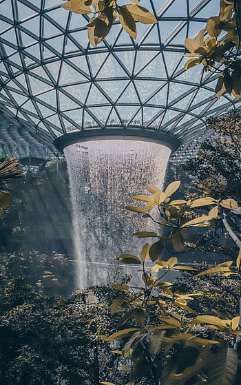 aeroporto di changi, aeroporto gioiello changi, cascata interna, moderna orangerie, fogliame lussureggiante, Singapore, vista incredibile, cascata, cupola di vetro, destinazione del viaggio, Marvel architettonico