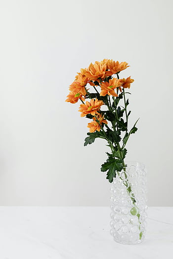Orange Chrysanthemum, glas vas, hvidt bord, Minimalistisk stil, tekstureret glas, blomster arrangement, indendørs indretning, orange blomster, moderne indretning, simpelt design, vasarrangement