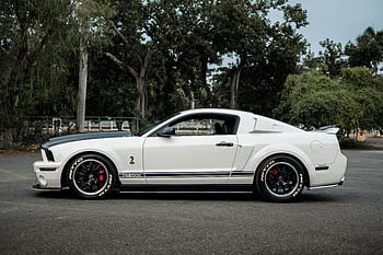white Ford Mustang GT, classic car, side view, serene outdoor setting, parked on road, GT500, white Mustang, outdoor setting, classic Mustang, white car, serene setting