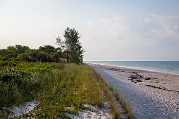 ocean, beach, landscape, coast, water, sea, clouds, sand, nature, outdoors, shore