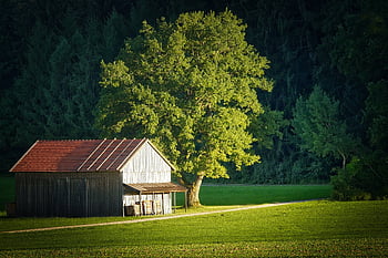 cabane, Grange, cour de ferme, rural, paysage, Prairie, pellicules, cabane en bois, maison, la bavière, bois