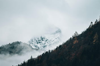 Berg, Gipfel, Wald, Winter, Wolken, Nebel, Bäume, Alpen, Natur, Landschaft, Schnee