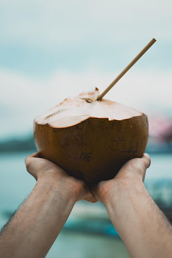 kokosový ořech, lombok, bali, tropický, napít se, Asie, Indonésie, Příroda, cestovat, krajina, ostrov