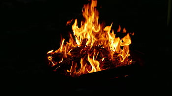火災、 たき火、 キャンプファイヤー、 薪、 火炎、 燃焼、 白熱灯、 熱、 夜、 残り火、 ホット