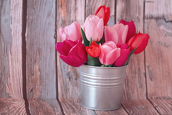 tulipanes, las flores, ramo de primavera, decoración rústica, arreglo floral, tulipanes rosa, tulipanes rojos, cubo de plata, florero, Decoración de San Valentín, regalo de amor