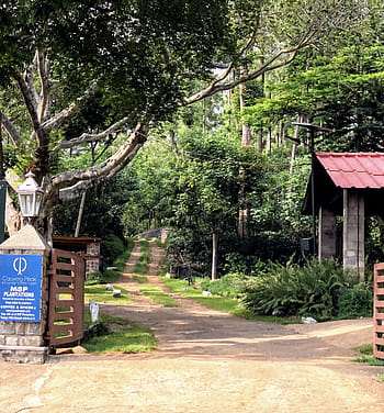 예루살렘, 언덕 역, 커피 농장, Cauvery 피크, 32km 순환도로, 타밀 나두, Shevroy Hills, 입구 게이트, 무성한 녹지, msp, 간판