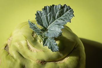 kohlrabi, brassica Oleracea, turnip, turnip Cabbage, beetroot, air Kohlrabi, vegetable Plant, vegetables, food, healthy, fresh