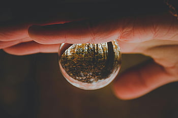 odbicie kropli wody, Kryształowa Kula, scena leśna, piękno natury, trzymanie ręki, fotografia refleksyjna, fotografia plenerowa, naturalne światło, jesienny las, Refleksja sferyczna